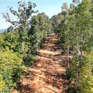 Photo #2 of 808 Neely, Asheboro, NC 53.6 acres