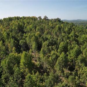 Photo #7 of 808 Neely, Asheboro, NC 53.6 acres