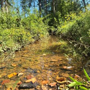 Photo #1 of 808 Neely, Asheboro, NC 53.6 acres