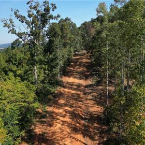Photo #18 of 808 Neely, Asheboro, NC 53.6 acres