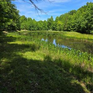 Back of lot with pond view