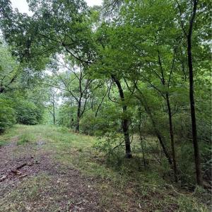 Photo #2 of Pine Ridge, China Grove, NC 5.1 acres
