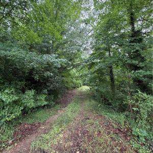 Photo #1 of Pine Ridge, China Grove, NC 5.1 acres