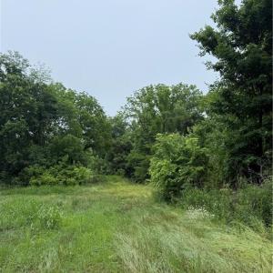 Photo #4 of Pine Ridge, China Grove, NC 5.1 acres