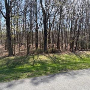 Beautiful wooded tract
