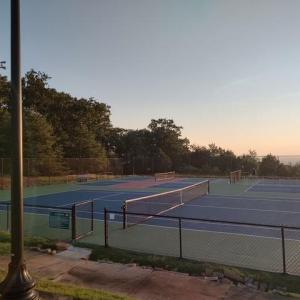 Addtional pickleball courts
