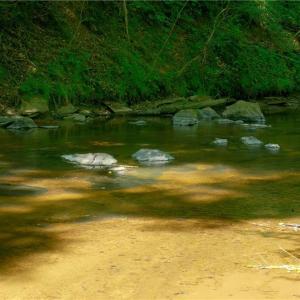 Photo #7 of 11 Roby Fulk, Pinnacle, NC 11.1 acres