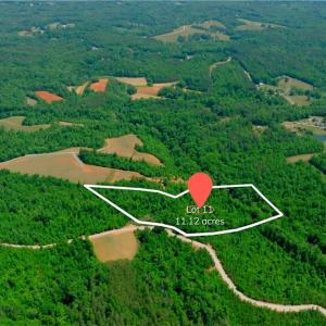 Photo #1 of 11 Roby Fulk, Pinnacle, NC 11.1 acres