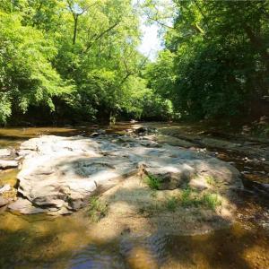 Photo #9 of 11 Roby Fulk, Pinnacle, NC 11.1 acres