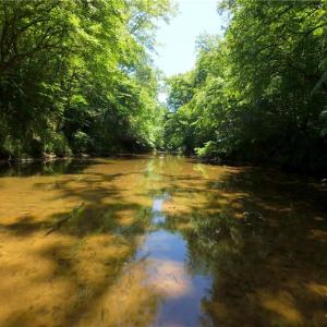 Photo #10 of 11 Roby Fulk, Pinnacle, NC 11.1 acres