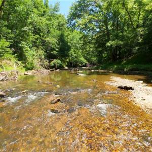 Photo #8 of 11 Roby Fulk, Pinnacle, NC 11.1 acres
