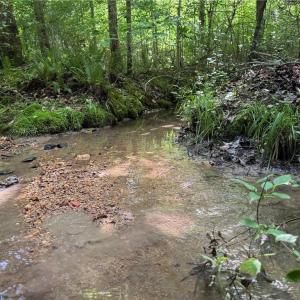 Photo #6 of Tract 5 Dover Church, Seagrove, NC 51.5 acres