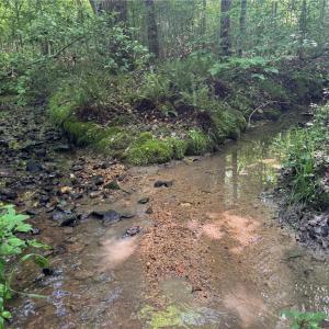 Photo #8 of Tract 5 Dover Church, Seagrove, NC 51.5 acres