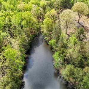 Photo #6 of 4858 US Highway 311, Sophia, NC 2.5 acres