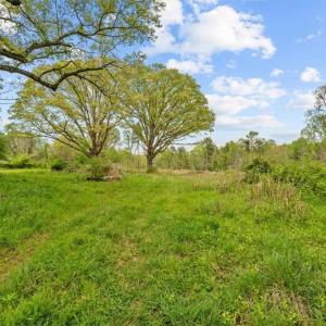 Photo #9 of 4858 US Highway 311, Sophia, NC 2.5 acres