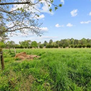 Photo #8 of 4858 US Highway 311, Sophia, NC 2.5 acres