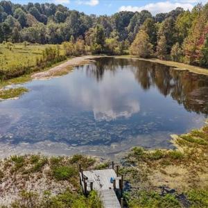 Photo #27 of 2385 Clacie, Liberty, NC 79.4 acres
