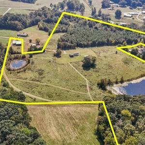 Photo #12 of 2385 Clacie, Liberty, NC 79.4 acres