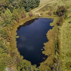 Photo #26 of 2385 Clacie, Liberty, NC 79.4 acres