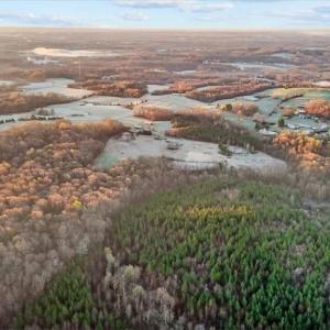 Photo #7 of 2385 Clacie, Liberty, NC 79.4 acres