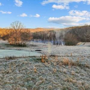 Photo #3 of 2385 Clacie, Liberty, NC 79.4 acres