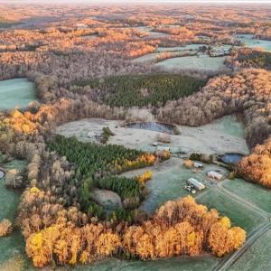 Photo #1 of 2385 Clacie, Liberty, NC 79.4 acres