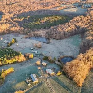 Photo #5 of 2385 Clacie, Liberty, NC 79.4 acres