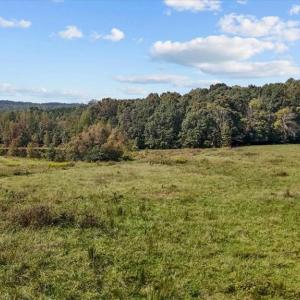 Photo #24 of 2385 Clacie, Liberty, NC 79.4 acres