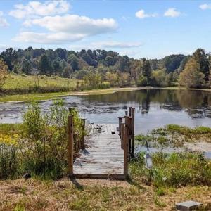 Photo #30 of 2385 Clacie, Liberty, NC 79.4 acres