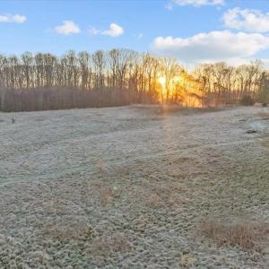 Photo #10 of 2385 Clacie, Liberty, NC 79.4 acres