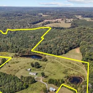Photo #14 of 2385 Clacie, Liberty, NC 79.4 acres