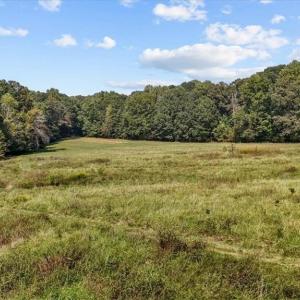 Photo #31 of 2385 Clacie, Liberty, NC 79.4 acres