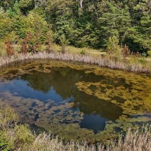 Photo #25 of 2385 Clacie, Liberty, NC 79.4 acres