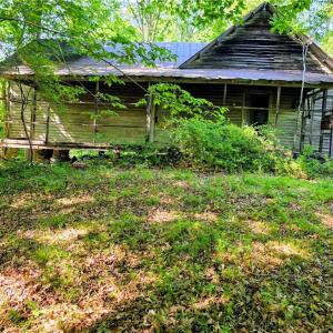 Photo #7 of 1055 Ed Booth, Westfield, NC 1.0 acres