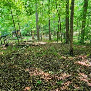 Photo #4 of 1055 Ed Booth, Westfield, NC 1.0 acres