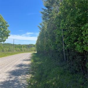 Photo #2 of Palmer, Westfield, NC 12.4 acres