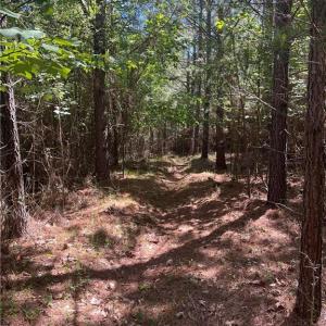 Photo #3 of Palmer, Westfield, NC 12.4 acres