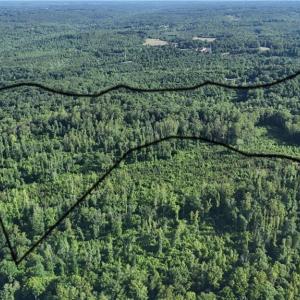 Photo #2 of Nubbin Ridge, Reidsville, NC 60.5 acres