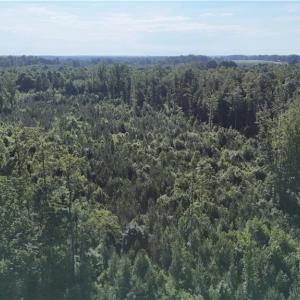 Photo #6 of Nubbin Ridge, Reidsville, NC 60.5 acres