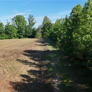 Photo #13 of Nubbin Ridge, Reidsville, NC 60.5 acres