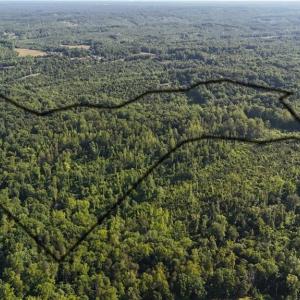 Photo #3 of Nubbin Ridge, Reidsville, NC 60.5 acres