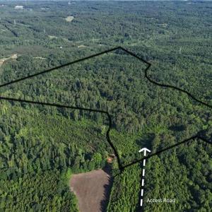 Photo #1 of Nubbin Ridge, Reidsville, NC 60.5 acres