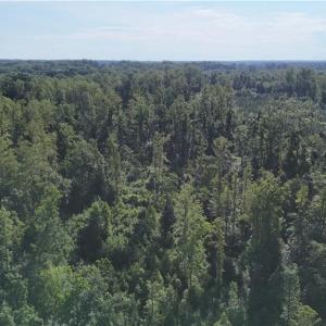 Photo #5 of Nubbin Ridge, Reidsville, NC 60.5 acres