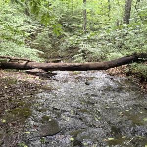 Photo #10 of Nubbin Ridge, Reidsville, NC 60.5 acres