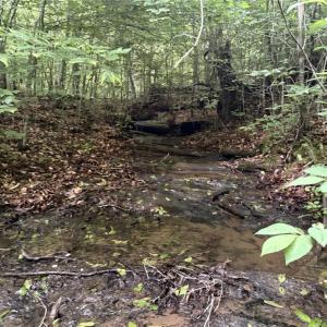 Photo #8 of Nubbin Ridge, Reidsville, NC 60.5 acres