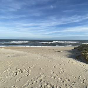 Photo #4 of 23270 Midgetts Mobile Court, Rodanthe, NC 1.6 acres