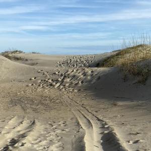 Photo #6 of 23270 Midgetts Mobile Court, Rodanthe, NC 1.6 acres