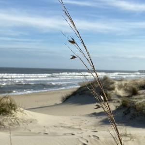 Photo #7 of 23270 Midgetts Mobile Court, Rodanthe, NC 1.6 acres