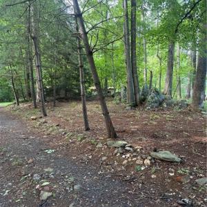 Photo #2 of 610 Brown, Randleman, NC 1.0 acres