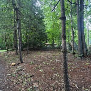 Photo #6 of 610 Brown, Randleman, NC 1.0 acres